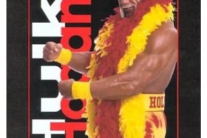 Hollywood Hulk Hogan Book Cover 0