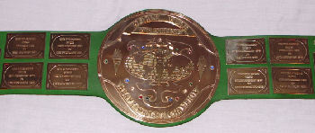 Big Green WWF Title Belt