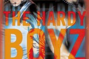 Hardy Boyz Exist To Inspire Book Cover