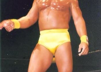 Wwf Hulk Hogan