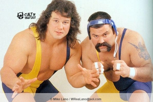 WWF Steiner Brothers