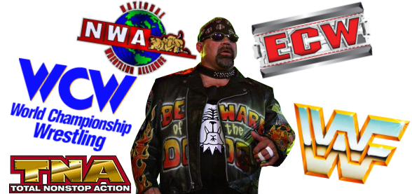 Rick Steiner TNA WCW WWF NWA