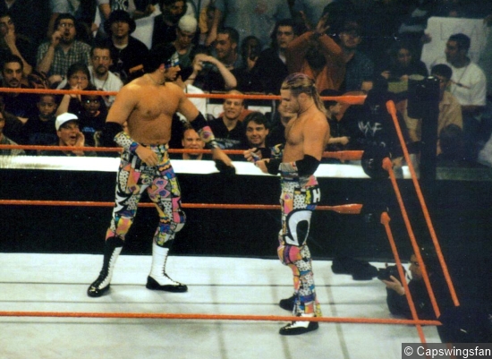 WWF Hardy Boys