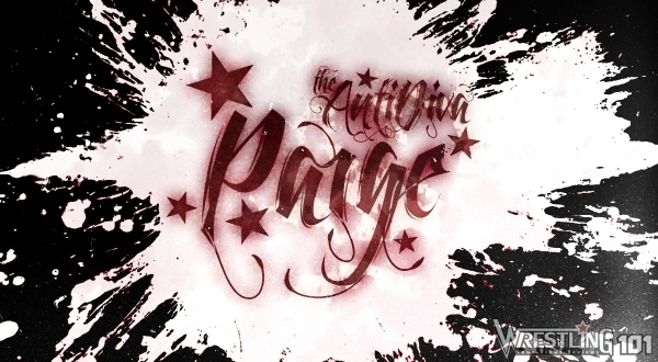 Wwe Paige Banner