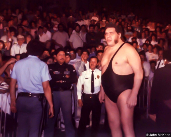 Wwf Andre The Giant