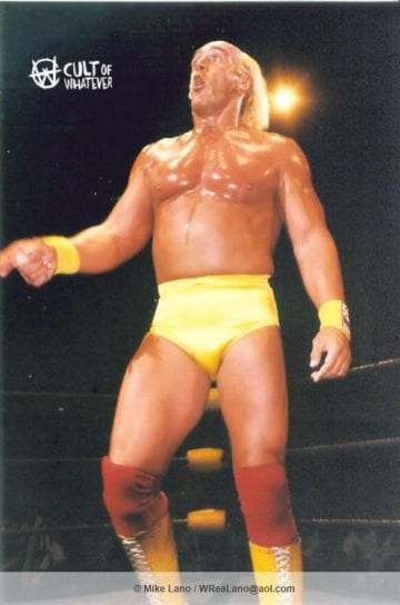 Hulk Hogan Ml