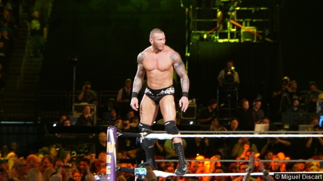 Wwe Wrestlemania 30 Randy Orton