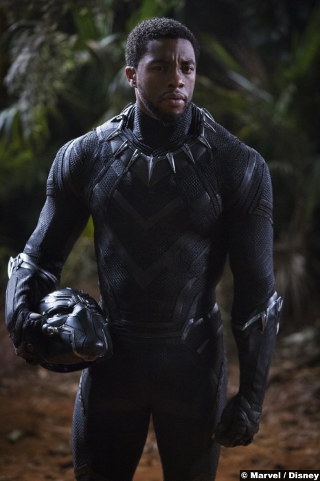 Black Panther Chadwick Boseman 2