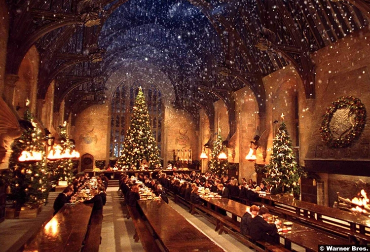 Harry Potter Chamber Secrets Christmas