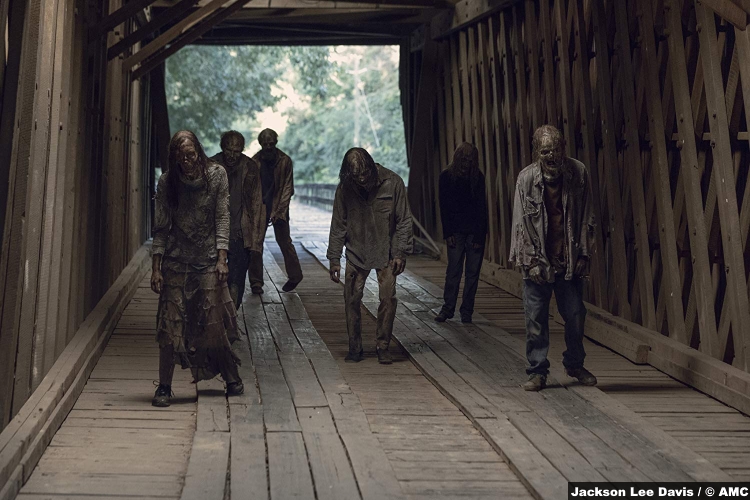 Walking Dead S09e09 Walkers Whisperers