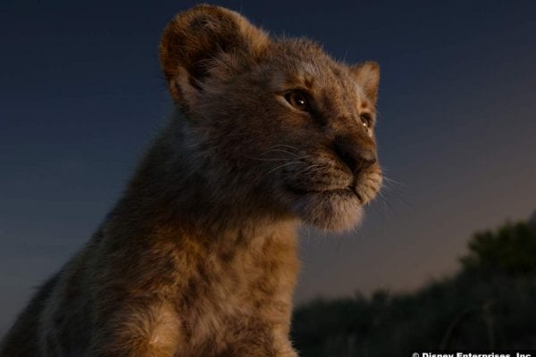 Lion King 2019 1