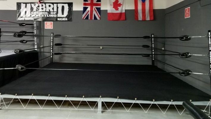 Pro Wrestling Ring 16' X 16' MADE IN USA - Pro Fight Shop