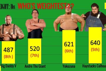 What Weight Is Heavyweight In Wrestling 1 Df61c778003deff91e0b14a35c876bda