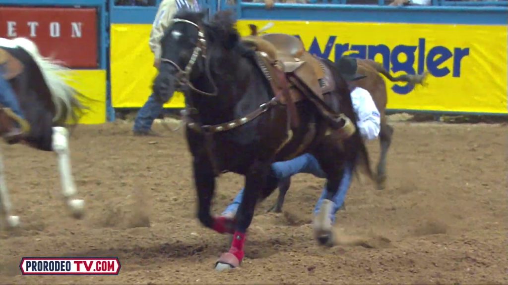 Who Won the NFR Steer Wrestling?